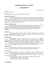 Literatūros pamokos planas "Garsų įvairovė"