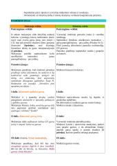 Literatūros pamokos planas "Garsų įvairovė" 2 puslapis