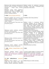 Literatūros pamokos planas "Garsų įvairovė" 3 puslapis