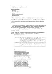 A. Baranausko ir S. Daukanto palyginimas 3 puslapis