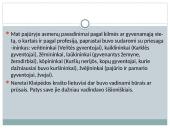 Vakarų žemaičiai  3 puslapis