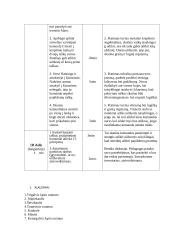 Netradicinės kūno kultūros pamokos planas 2 puslapis
