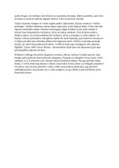 Žmogaus prigimties pasireiškimas ekstremaliomis situacijomis W. Goldingo romane „Musių valdovas“ 2 puslapis