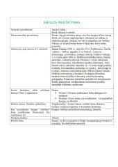 Knygos "Meilė, džiazas ir velnias" analizė