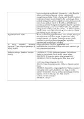 Knygos "Meilė, džiazas ir velnias" analizė 3 puslapis