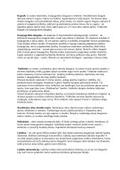 Akies sandara, regos sutrikimai 4 puslapis