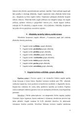 Augalai kaupiantys alkaloidus 6 puslapis