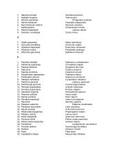 Augalų pavadinimai lietuviškai-lotyniškai 6 puslapis