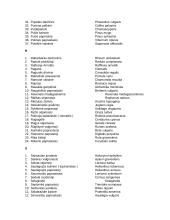 Augalų pavadinimai lietuviškai-lotyniškai 7 puslapis