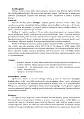 Bacillus gentis