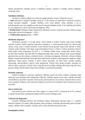 Bacillus gentis 2 puslapis