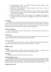Bacillus gentis 3 puslapis