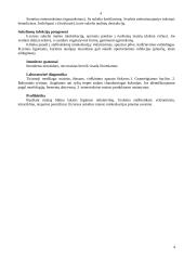 Bacillus gentis 4 puslapis