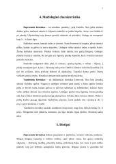 Lietuvos žinduoliai. Paprastasis kirstukas. Vandeninis kirstukas 7 puslapis