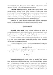 Lietuvos žinduoliai. Paprastasis kirstukas. Vandeninis kirstukas 8 puslapis