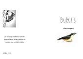Paukštis bukutis 2 puslapis