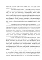 Valstybinės šeimos politikos koncepcijos patvirtinimas - svarbus žingsnis formuojant efektyvią šeimos politiką 2 puslapis