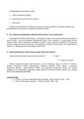 Susipažinimas su integrinėmis schemomis 3 puslapis