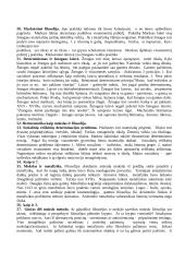 Filosofijos temos 11 puslapis