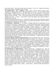 Filosofijos temos 10 puslapis