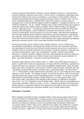 Kūrybinė laisvė bei menininko atsakomybė  7 puslapis