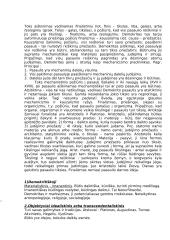 Determinizmo problema 2 puslapis