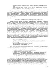 Keleivių vežimas Lietuvos geležinkeliais 17 puslapis