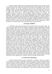 Operacijos kelyje. Pristatymo terminai. Krovinių išdavimas 11 puslapis