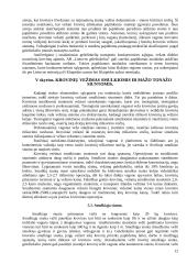 Operacijos kelyje. Pristatymo terminai. Krovinių išdavimas 12 puslapis