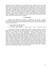 Operacijos kelyje. Pristatymo terminai. Krovinių išdavimas 13 puslapis