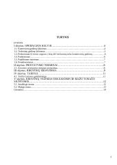 Operacijos kelyje. Pristatymo terminai. Krovinių išdavimas 3 puslapis