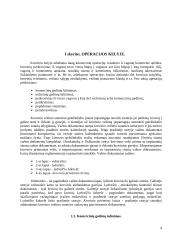 Operacijos kelyje. Pristatymo terminai. Krovinių išdavimas 4 puslapis