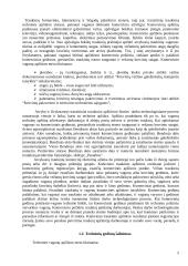 Operacijos kelyje. Pristatymo terminai. Krovinių išdavimas 5 puslapis