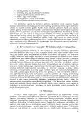 Operacijos kelyje. Pristatymo terminai. Krovinių išdavimas 6 puslapis