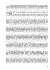 Operacijos kelyje. Pristatymo terminai. Krovinių išdavimas 10 puslapis