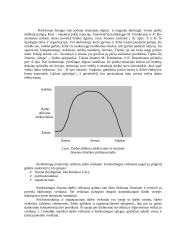 Stresas vadyboje 4 puslapis
