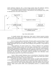 Stresas vadyboje 6 puslapis