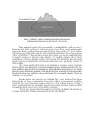 Stresas vadyboje 8 puslapis