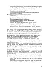 Nacionaliniai personalo vadybos ypatumai Lietuvoje 11 puslapis