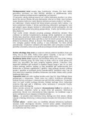 Nacionaliniai personalo vadybos ypatumai Lietuvoje 6 puslapis