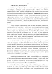 Permainų vadyba 12 puslapis