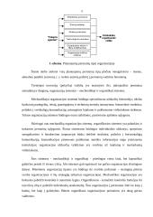 Permainų vadyba 5 puslapis