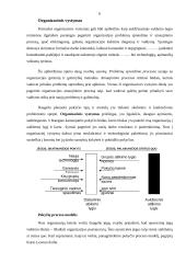 Permainų vadyba 6 puslapis