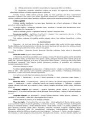 Itin išsamus pasiruošimas vadybos egzaminui 14 puslapis