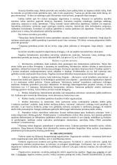 Itin išsamus pasiruošimas vadybos egzaminui 20 puslapis