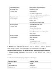 Vadovo asmenybė 2 puslapis