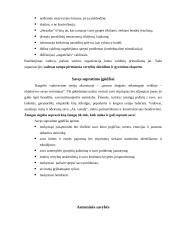 Vadovo asmenybė 6 puslapis