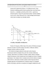 Monopolijos formavimosi ypatybės 13 puslapis