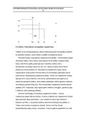 Monopolijos formavimosi ypatybės 19 puslapis