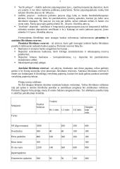 Likvidumo rizikos analizė 3 puslapis